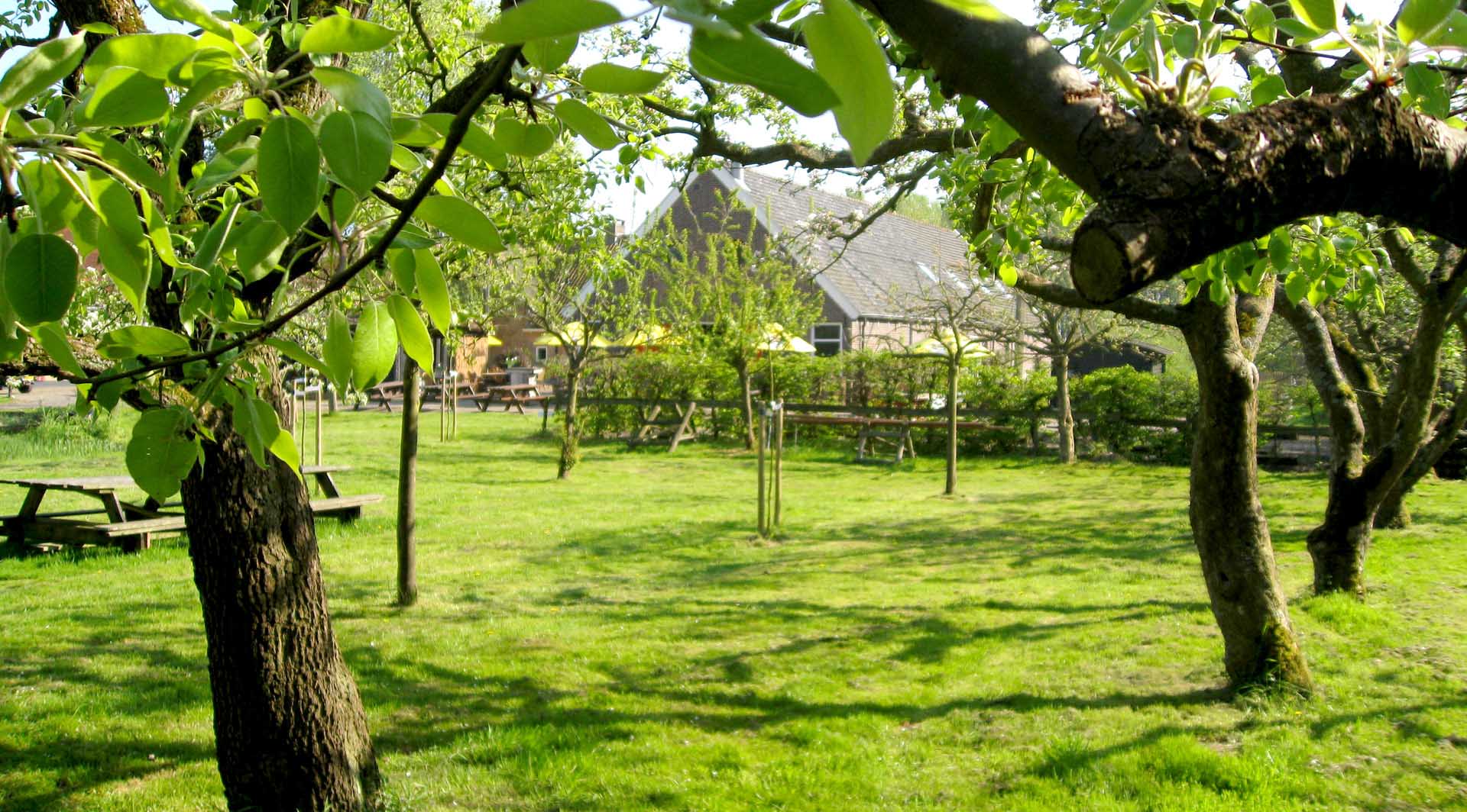 Buiten trouwen in de boomgaard bij Buitenplaats Vlaardingen